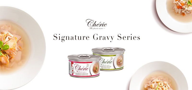 CHSG Signature Gravy Series 80g