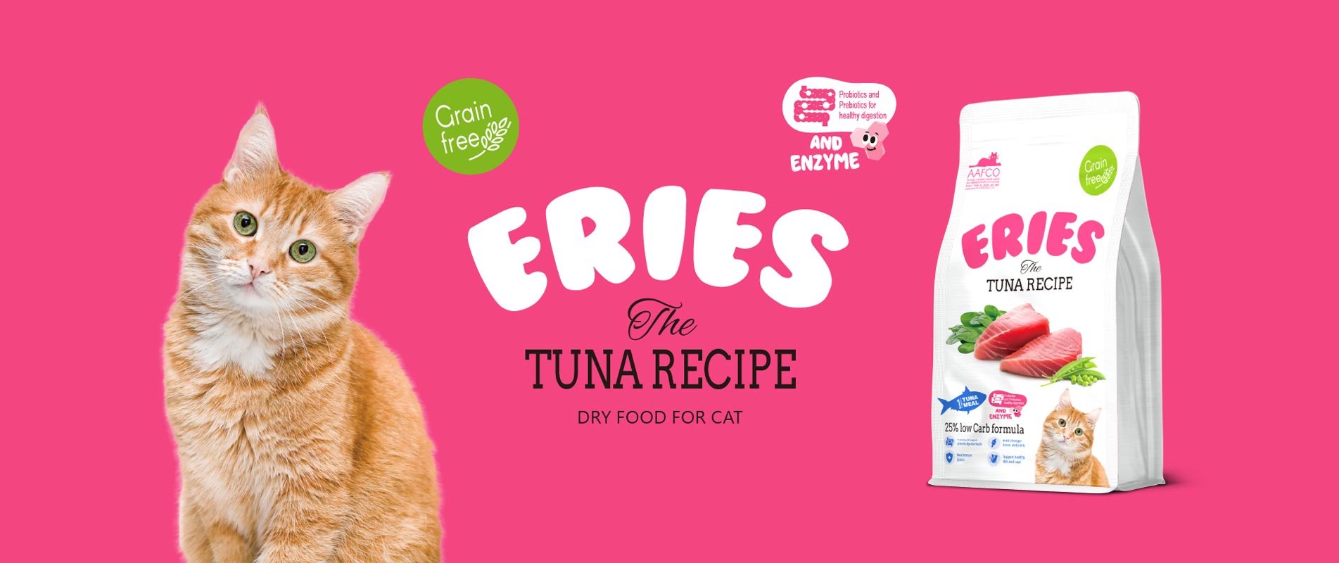 Tuna Recipe