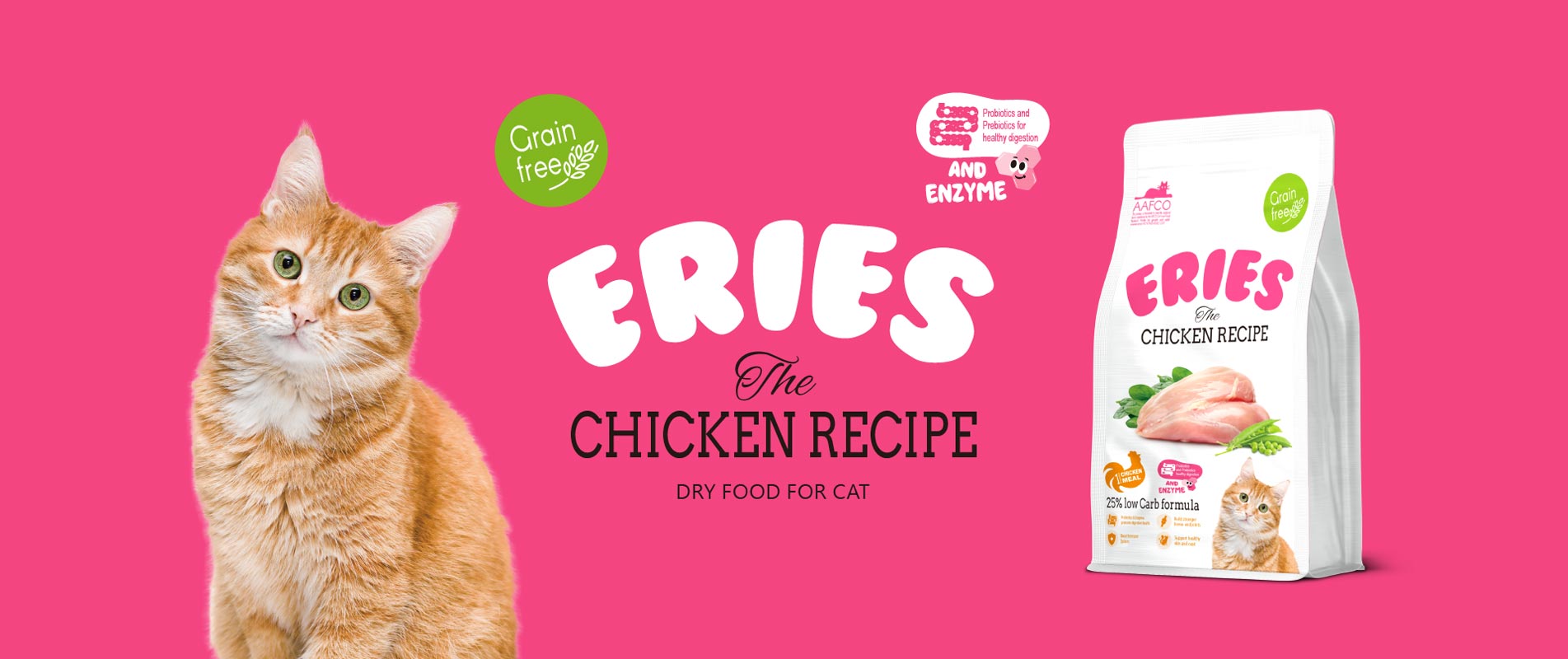Chicken Recipe