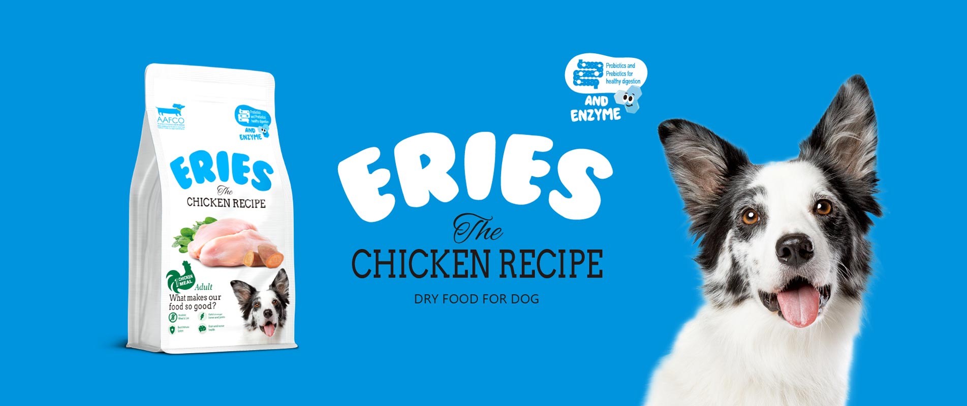 Chicken Recipe