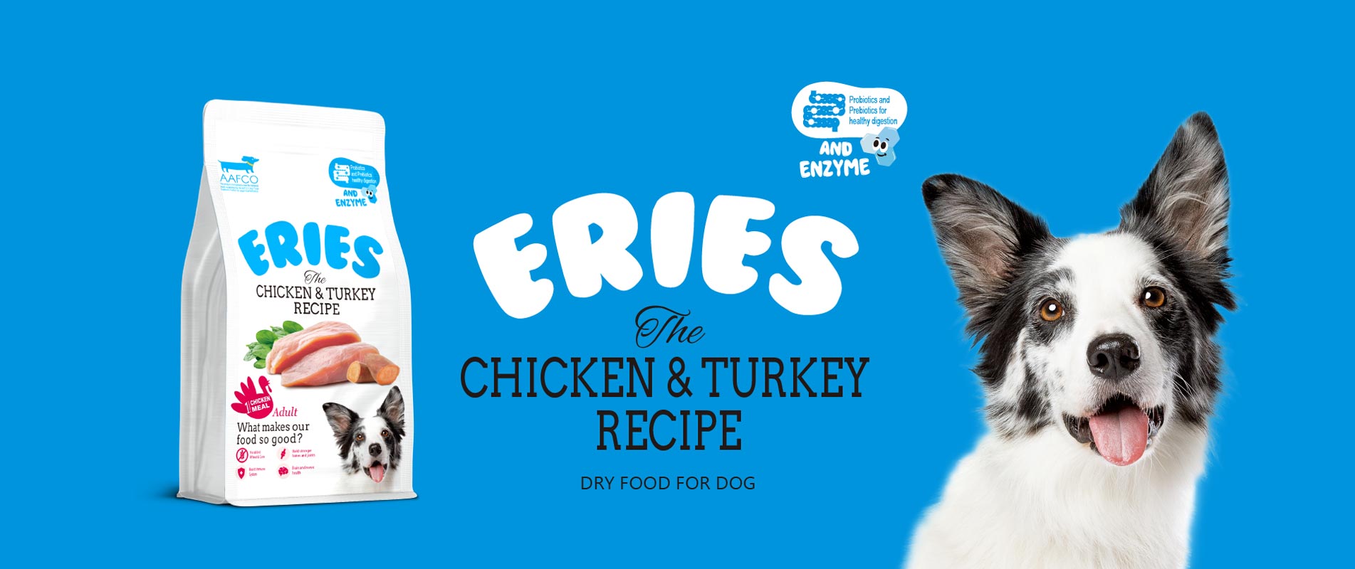 Chicken & Turkey Recipe