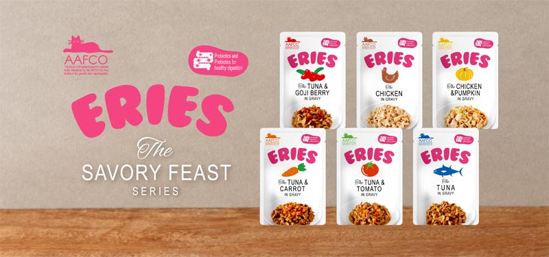 Savory Feast Series