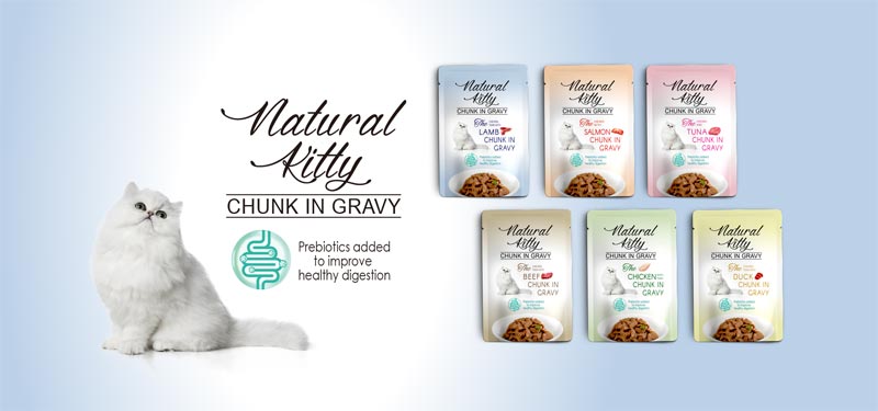 Chunk in Gravy Series
