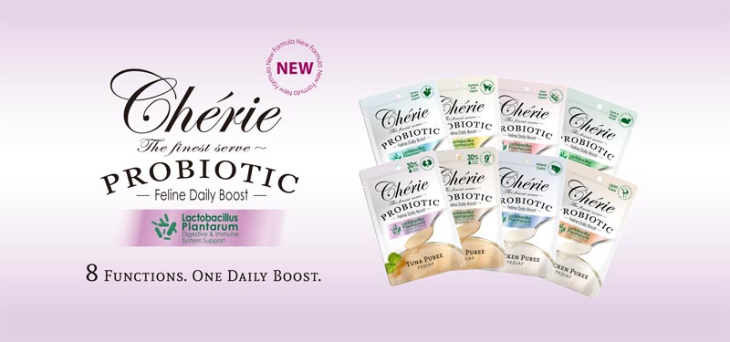 Probiotic Feline Daily Boost